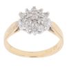 18ct Yellow Gold 0.25ct Brilliant Cut Diamond Cluster Ring