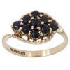 9ct Yellow Gold Sapphire Cluster Ring