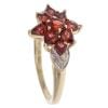 9ct Yellow Gold 0.05ct Diamond and Garnet Cluster Ring