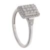 9ct White Gold 0.36ct Brilliant Cut Diamond Cluster Ring