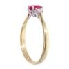 18ct Yellow Gold Ruby and 0.10ct Diamond Cluster Ring