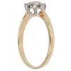 18ct Yellow Gold 0.50ct Brilliant Cut Diamond Cluster Ring
