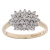 9ct Yellow Gold 0.50ct Brilliant Cut Diamond Cluster Ring