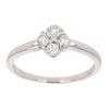 18ct White Gold 0.33ct Diamond Cluster Ring