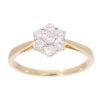18ct Yellow Gold 0.50ct Diamond Cluster Ring