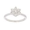 9ct White Gold 0.50ct Brilliant Cut Diamond Cluster Ring