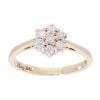 9ct Yellow Gold 0.25ct Diamond Cluster Ring