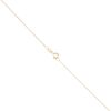 9ct Yellow Gold Welsh Feathers Pendant and Chain 16"