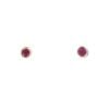 9ct Yellow Gold Ruby Stud Earrings