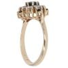 9ct Yellow Gold Cubic Zirconia and Sapphire Ring