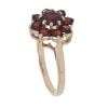 9ct Yellow Gold Garnet Cluster Ring