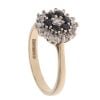 9ct Yellow Gold Sapphire And Cubic Zirconia Ring