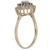 9ct Yellow Gold Cubic Zirconia and Sapphire Cluster Ring