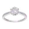 9ct White Gold 0.25ct Diamond Cluster Ring