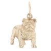 9ct Yellow Gold Bulldog Pendant