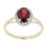 9ct Yellow Gold 0.01ct Diamond And Garnet Cluster Ring