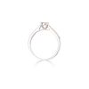 9ct White Gold 0.25ct Diamond Cluster Ring