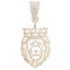 9ct Yellow Gold Cubic Zirconia Lion Pendant