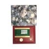 Rolex Custom Oyster Perpetual Pre Owned Watch Ref 67194