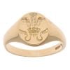 9ct Yellow Gold Welsh Feathers Signet Ring
