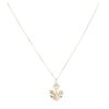 9ct Yellow Gold Welsh Feathers Pendant and Chain 16"