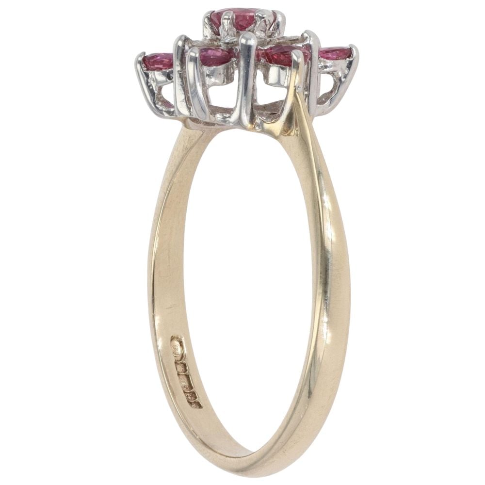 9ct Yellow Gold Ruby and 0.30ct Diamond Cluster Ring